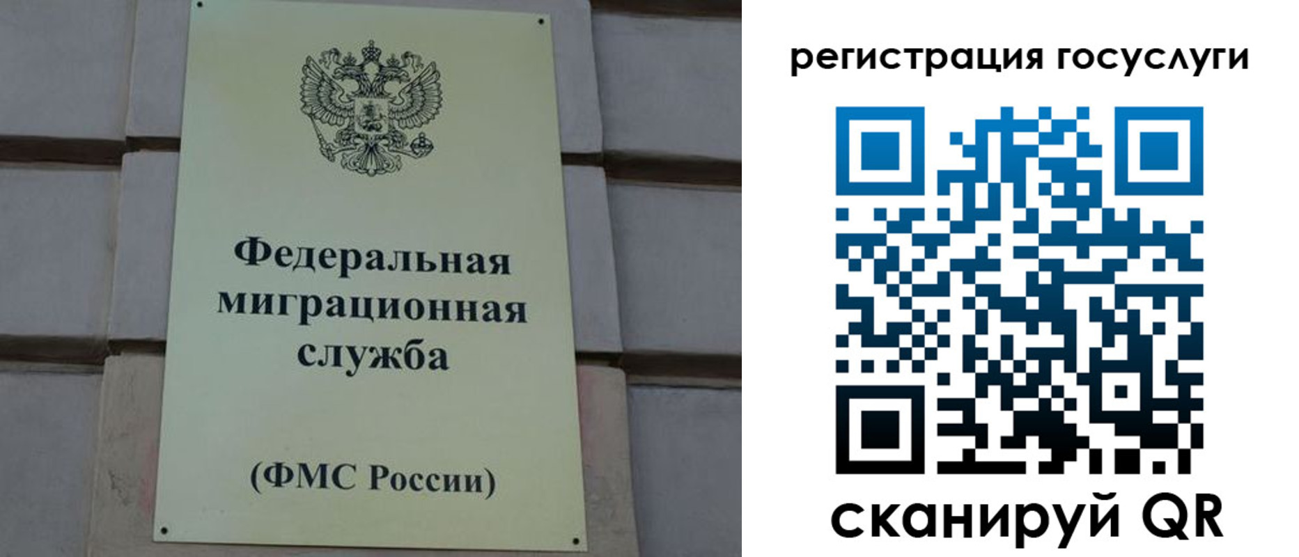 временная регистрация поиск в Волжском